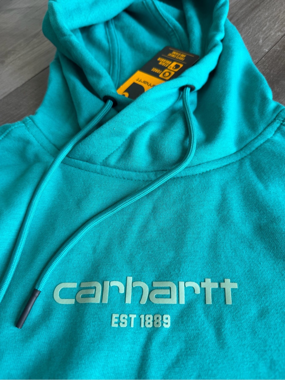NWT Carhartt Women's Teal Force Relaxed Fit Lightweight Graphic Hoodie Size M - Picture 2 of 5